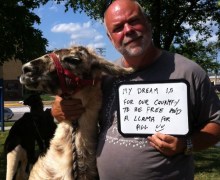photo-14